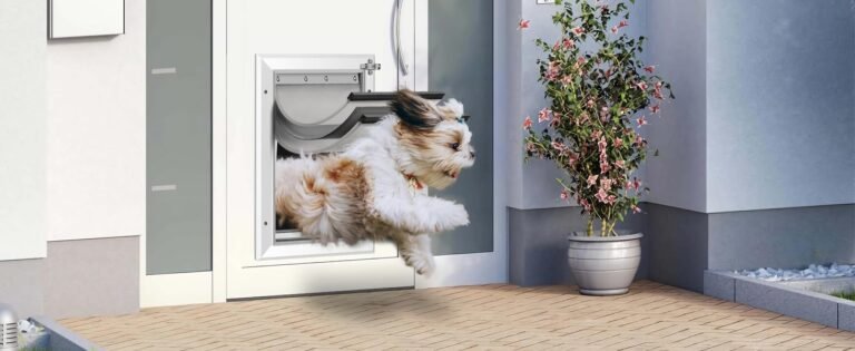 1faedc70 f4a7 4f07 8092 abd52cd0d7ad. CR0121464600 PT0 SX1464 V1 IndoorGuru