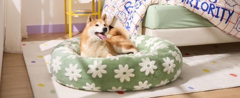 352f9bed 39c3 4735 84d6 82dc1c55df17. CR0029281200 PT0 SX1464 V1 IndoorGuru