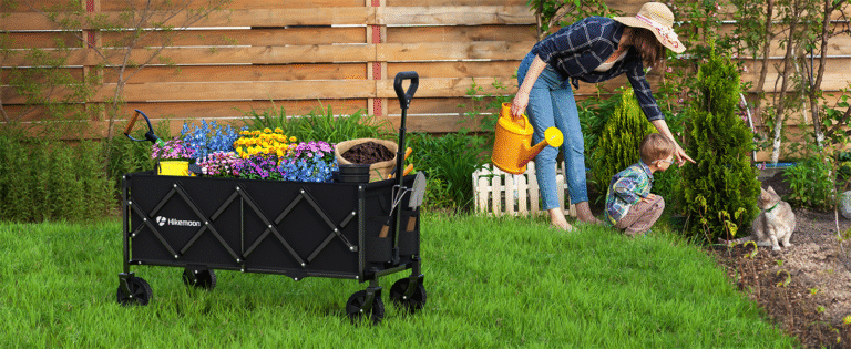 88eb7421 630a 400c 87e7 04a4ab8f0e79. CR001464600 PT0 SX1464 V1 IndoorGuru