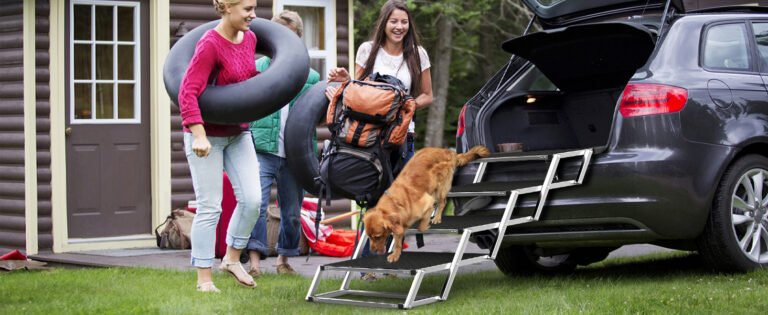 96276e31 bd59 436d a7e6 695c5f9e9c38. CR001464600 PT0 SX1464 V1 IndoorGuru