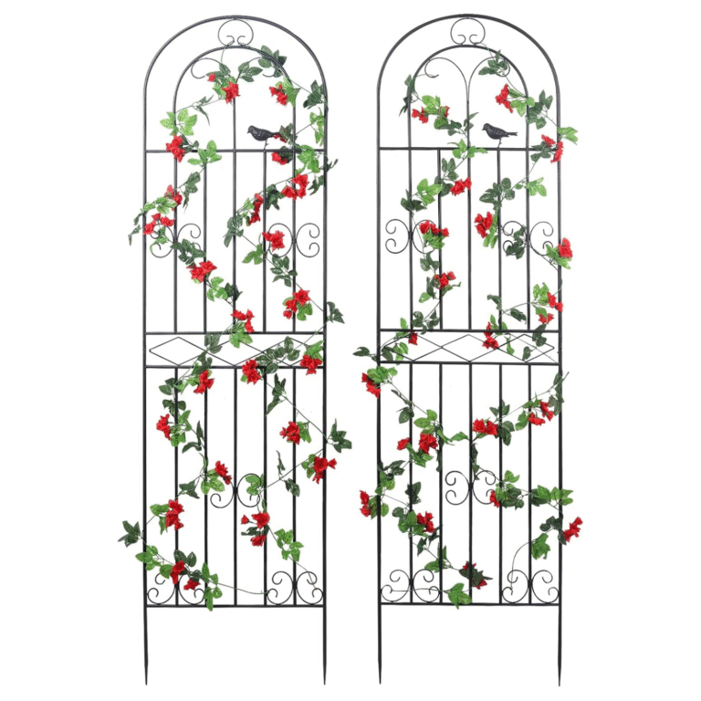 Macteyia 2-Pack Metal Garden Trellis for Climbing Plants 3 Untitled design 1 1 IndoorGuru