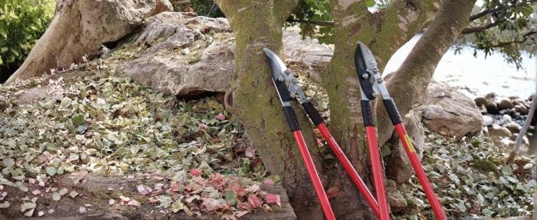 Untitled design 1 2 IndoorGuru