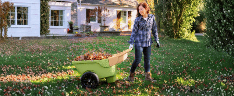 Untitled design 2 1 IndoorGuru