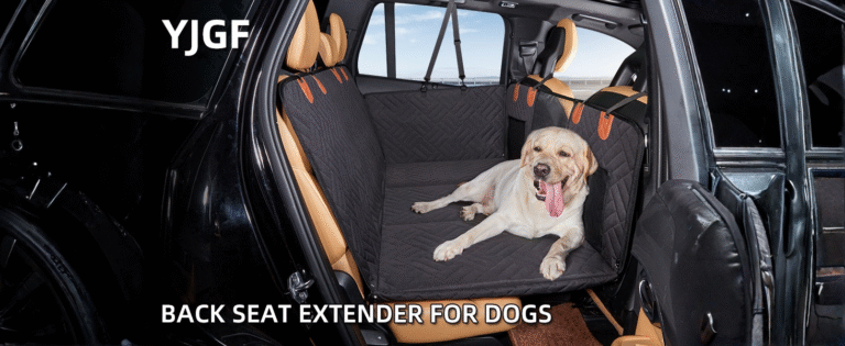 Untitled design 6 11 IndoorGuru