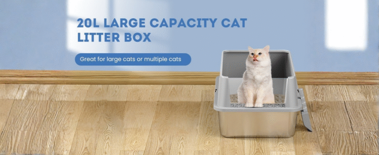 Untitled design 6 13 IndoorGuru