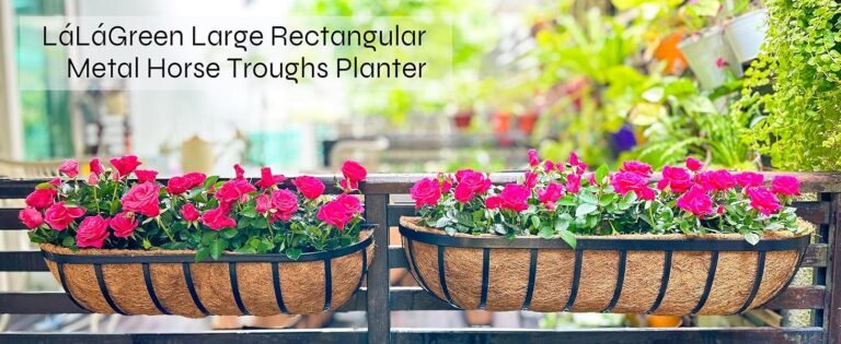 LaLaGreen 16-Inch Wall Planters – 2-Pack 6 c34182e1 39ba 4609 975e c5b9dd27be3c. CR0029281200 PT0 SX1464 V1 IndoorGuru