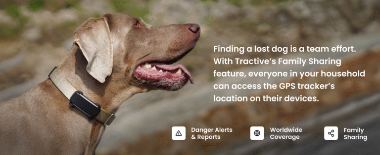 cdac293a d1af 45b6 a38d 2b1bd500aaab. CR001464600 PT0 SX1464 V1 IndoorGuru