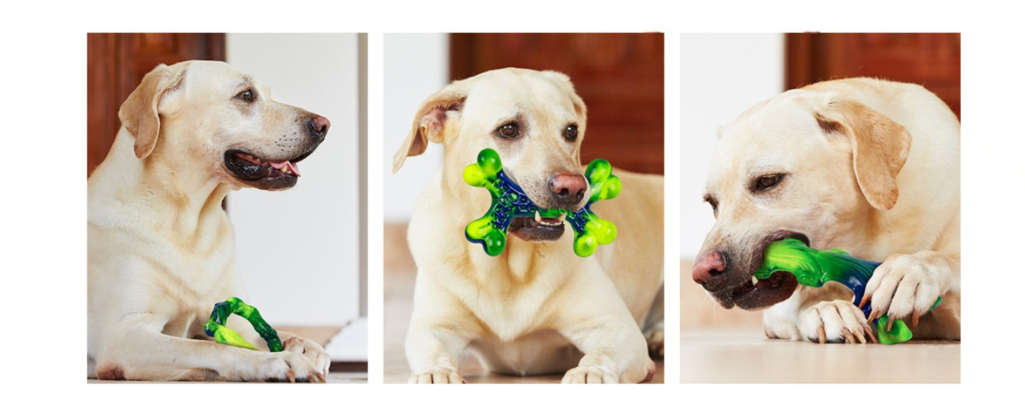 Frienhund 6-Pack Indestructible Dog Toys