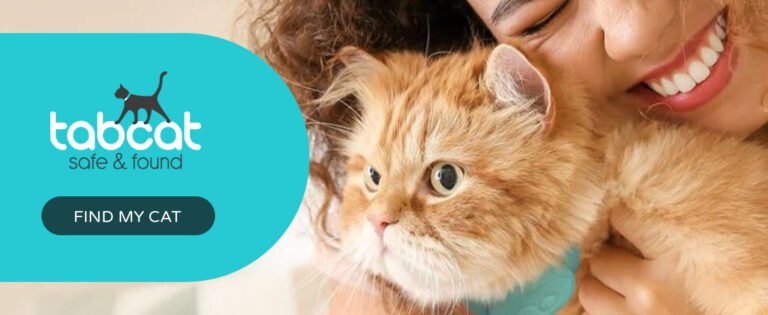 e1f1febe 5fdd 491a 9184 dbf957882e39. CR001464600 PT0 SX1464 V1 IndoorGuru