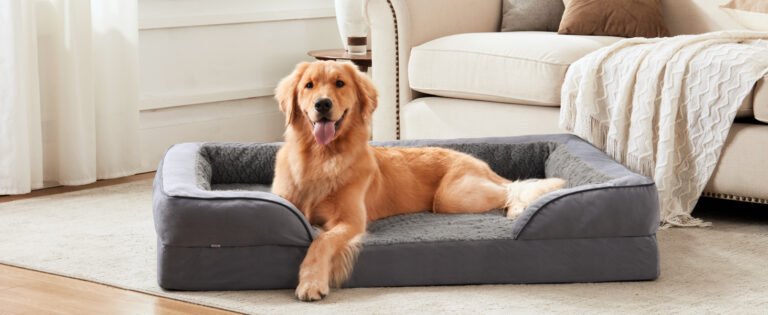 ef3c9224 2ea2 4426 ab1f 327028f55ccf. CR001464600 PT0 SX1464 V1 IndoorGuru