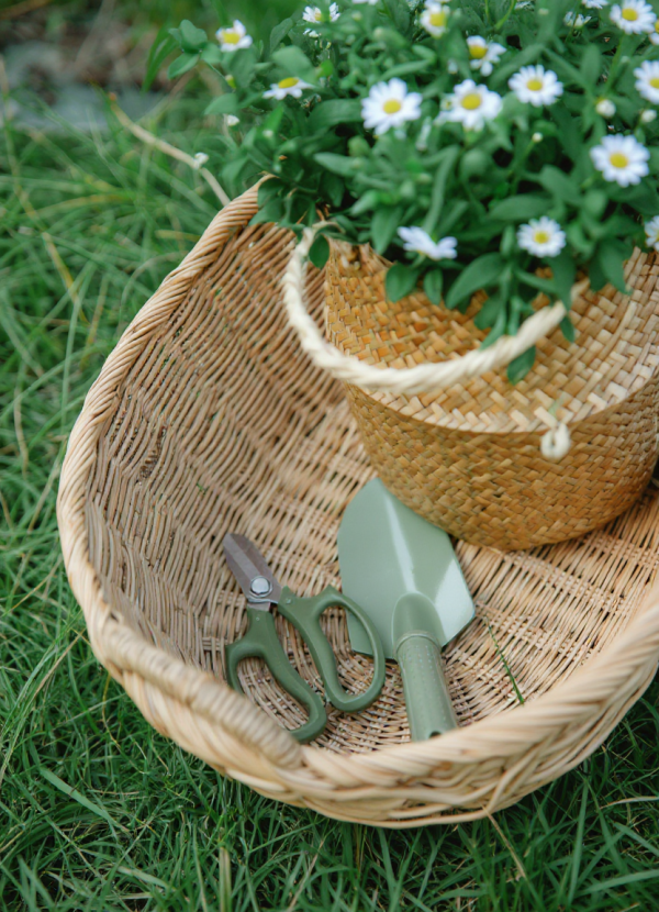 1762130222014-019a4725-24b5-7d59-a8ec-008950acf02a 1762130222014-019a4725-24b5-7d59-a8ec-008950acf02a